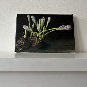 Colchicum, oil on linen, 0.20x 0.30 m, E250