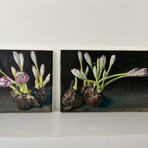 diptych colchicum